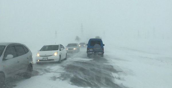 Цасан шуурга шуурна