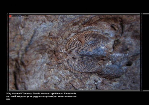 МОНГОЛЫН НЭГЭН ГАЙХАМШИГ