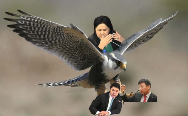 Засгийн газар нууц тогтоол гаргаж, идлэг шонхроор наймаа хийсэн үү