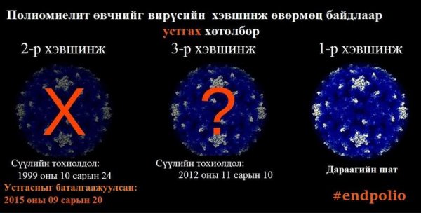 Дэлхийн дахинд халдварт саа өвчнийг устгах талаар хэрэгжүүлж буй арга хэмжээний тухай