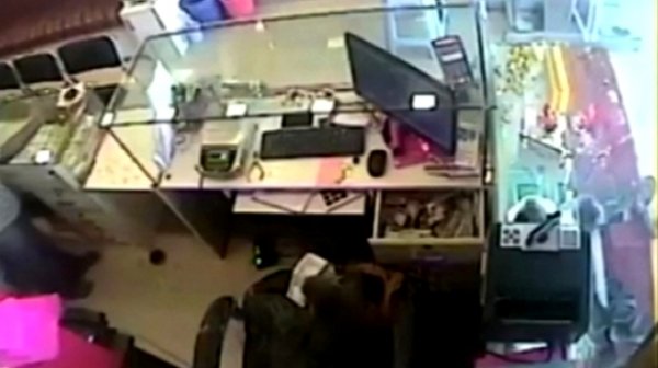 Зальт сармагчин мөнгө хулгайлжээ