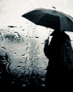 Усархаг бороо үргэлжлэн орно