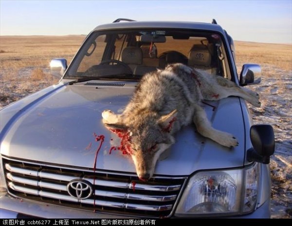 ХЯТАД САЙТААР “МОНГОЛ БОЛ ЖАРГАЛЫН ОРОН” ХЭМЭЭХ ХУУЛЬ БУС ҮЙЛДЛҮҮД ЦАЦАГДАЖ ЭХЭЛЛЭЭ