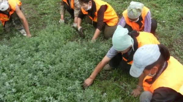 Шарилжгүй Улаанбаатар хот болно