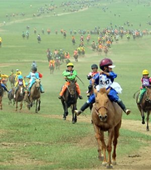 Хамгаалалтын хувцас, хэрэглэлгүй бол уралдуулахгүй