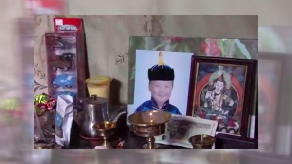 Дөрвөн настай хүүгийн аминд хүрсэн нохойн эзэн давж заалдахаар болжээ