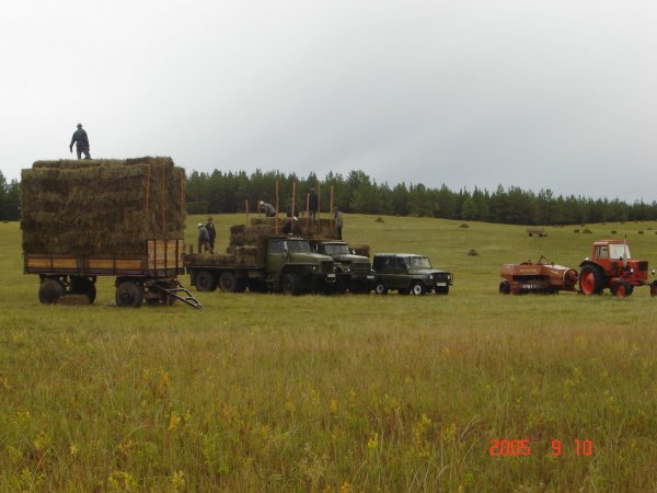 Улсын нөөцийн өвс тэжээлийн бэлтгэл ажил 50 хувьтай явж байна