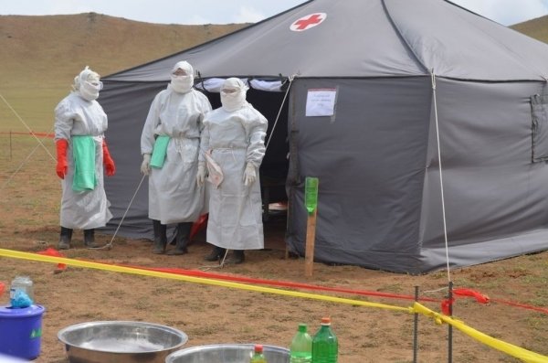 Төв аймгийн  Баян суманд шүлхий өвчин гарчээ