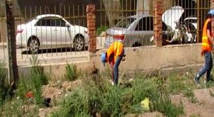 Нийт 287 мянган ам метр талбайн шарилж цэвэрлэжээ