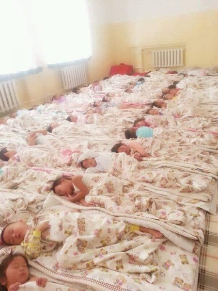 Аз нь шовойсон ч хөл тавих зайгүй цэцэрлэгүүд