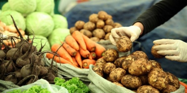 АЛТАН НАМАР ҮЗЭСГЭЛЭН ХУДАЛДААНД 240 ГАРУЙ НОГООЧИН ОРОЛЦОНО