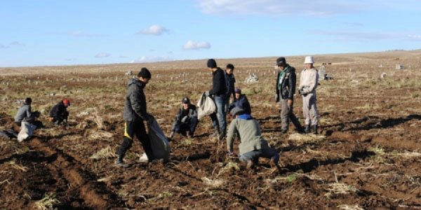 МОНГОЛЫН ХӨРСӨНД Ч ХОРТОЙ НОГОО УРГАЖ БАЙНА УУ