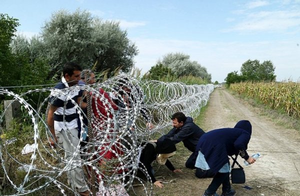 Зарим орон ирэх онд 360 мянган дүрвэгч хүлээн авахаа баталлаа