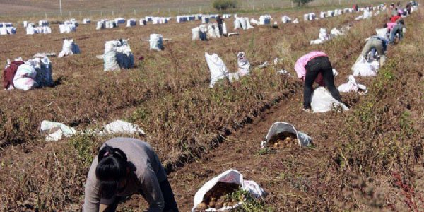 ОБЕГ-ААС АНХААРУУЛЖ БАЙНА