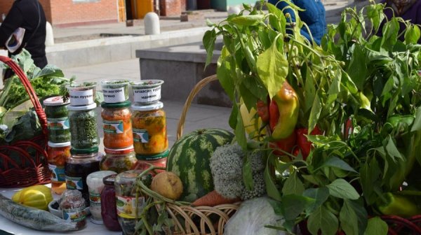 ргацын баяр-2016” үзэсгэлэн худалдаа Сүхбаатарын талбайд үргэлжилж байна