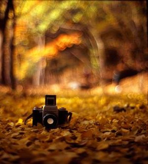 Намрын өнгө /фото/