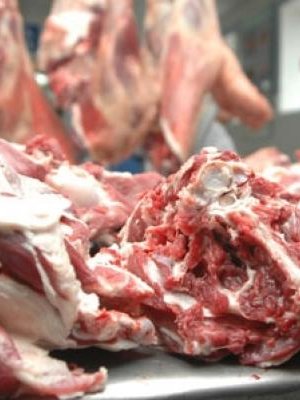 Цэцэг өвчтэй малын мах аймгийн төв рүү оруулах гэж байгаад баригджээ