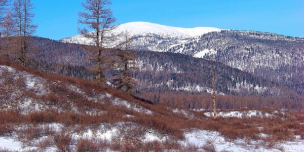 СУРАГГҮЙ БОЛСОН ИРГЭДИЙГ ОЛЖЭЭ