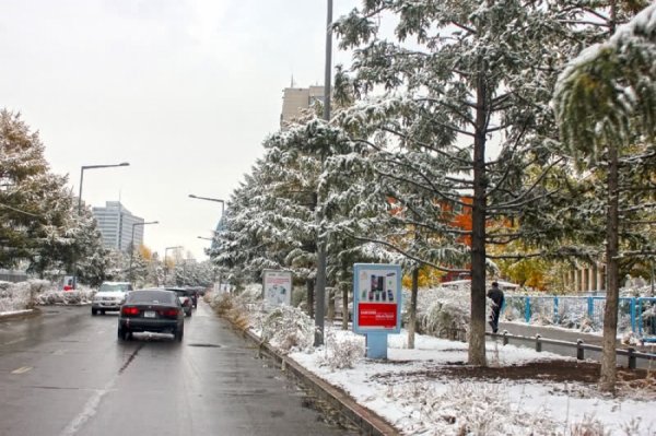 ИХ ХЭМЖЭЭНИЙ ЦАС ОРОХЫГ АНХААРУУЛЛАА