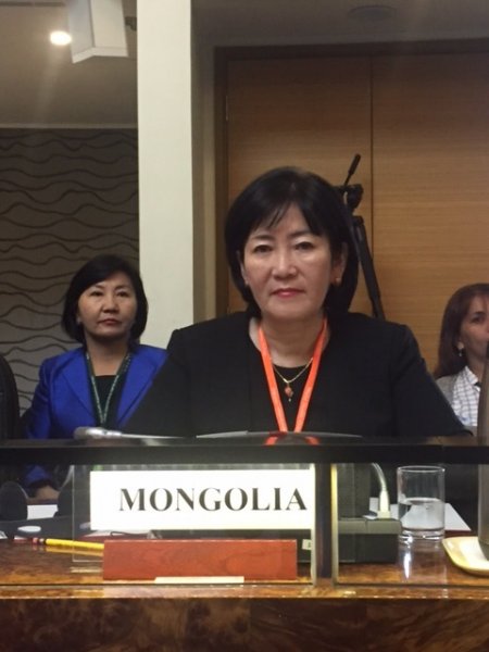 ДЭМБ-ийн Номхон далайн баруун бүсийн хорооны 67 дугаар чуулган эхэллээ