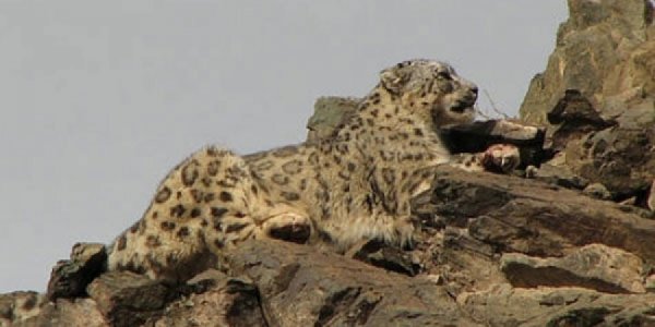 ТОСТ, ТОСОНБУМБЫГ ТУСГАЙ ХАМГААЛАЛТАД АВСАН Ч ӨНӨӨГ ХҮРТЭЛ ХЭРЭГЖЭЭГҮЙ БАЙНА