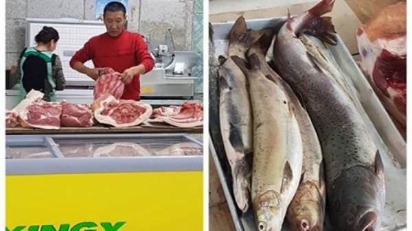 Тул загас зарж байсан иргэнийг илрүүлж, шалгахаар болжээ