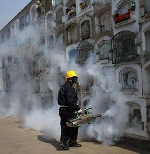 Генийн өөрчлөлттэй шумуулаар “Зика” вирусийг устгана