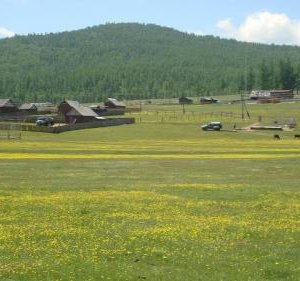 Хууль зөрчин олгосон газруудыг чөлөөлнө