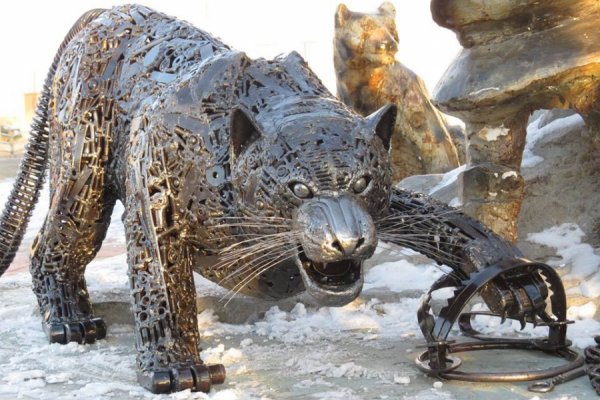 ХУРААГДСАН ХАВХНУУД АШИГЛАН ТӨМРӨН ИРВЭС УРЛАЖЭЭ