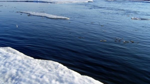 Монголд ажилладаг орос эр гурван настай хүүгийн амийг аварчээ