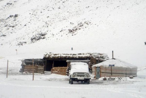 60 суманд өвөлжилт хүнд байна