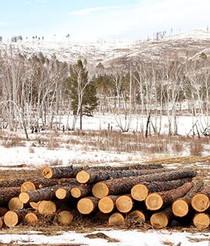 БОАЖЯ-наас “Ойн эрдэмтдээ сонсъё” уулзалт хэлэлцүүлэг зохион байгууллаа