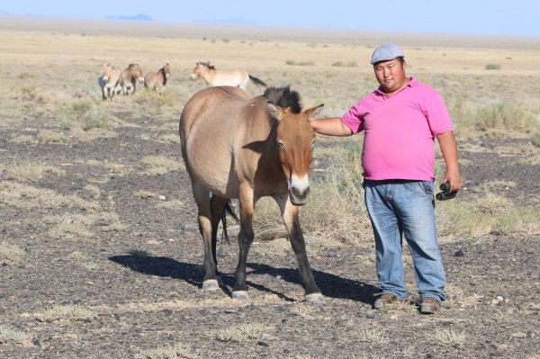 Тахь хамгаалах амар биш ч жаргалтай ажил
