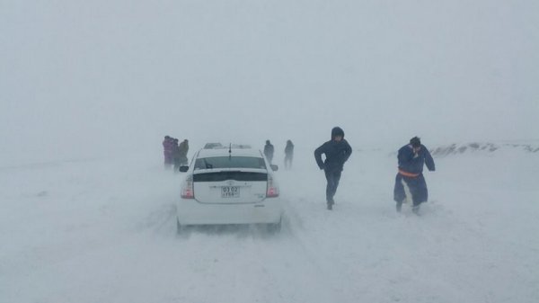 Иргэд, малчид, тээврийн хэрэгслийн жолооч, аж ахуйн нэгж, байгууллагын анхааралд