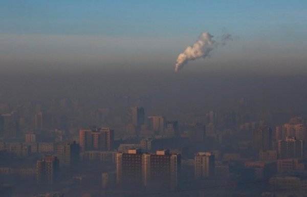 Утаа бидний ирээдүйг хэвлийд нь хөнөөж байна