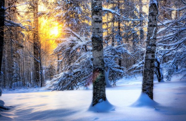 Улаанбаатарт шөнөдөө 27 хэм хүйтэн