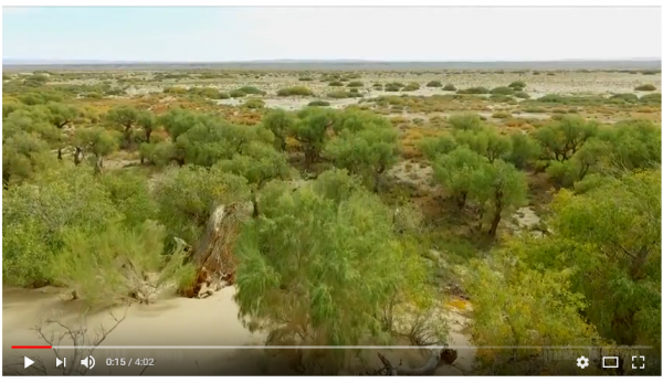 ВИДЕО: Өмнөговь аймгийн 9 гайхамшгаар хамтдаа аялцгаая / Зураглал М.Шинэхүү/