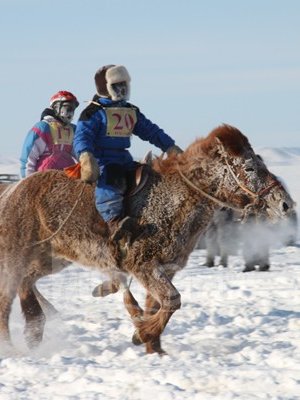 Уяачид мессэж илгээж гишүүд, сайд нарыг дарамталсан гэв үү?