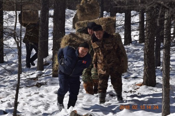 ТУРУУТАН АМЬТАД ИДЭШ ТЭЖЭЭЛИЙН ХОМСДОЛД ОРЖЭЭ