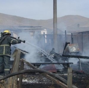 Багануур дүүрэгт 450 боодол өвс шатжээ