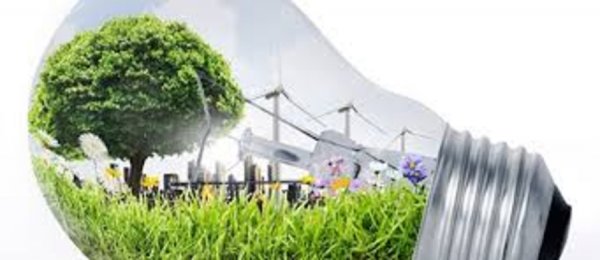 НОГООН ЭДИЙН ЗАСГИЙГ ХӨГЖҮҮЛЭХ БОЛОМЖИЙГ ЭРЭЛХИЙЛЭВ