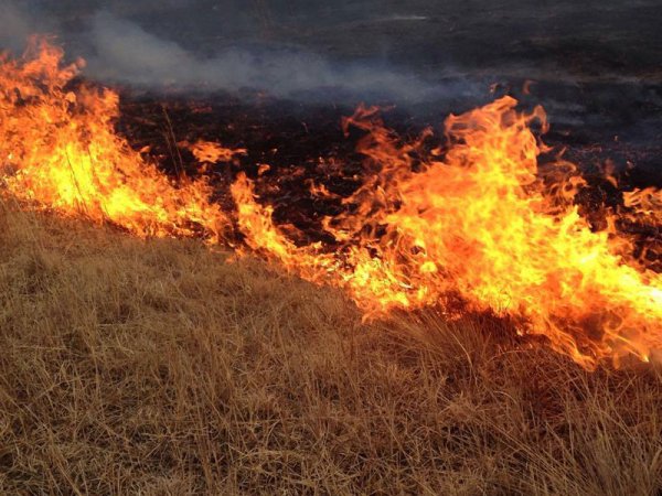 100 САЯ төгрөгийн хоёр азтан тодорлоо