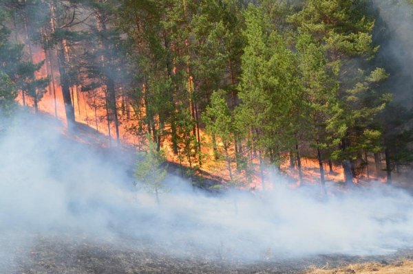 ХӨВСГӨЛ АЙМАГТ ГАРСАН ТҮЙМЭР АССААР БАЙНА