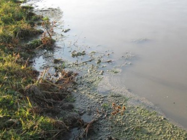 УС БОХИРДУУЛСНЫ ТӨЛБӨРИЙН ТУХАЙ ХУУЛИЙГ ХЭРЭГЖҮҮЛЭЭГҮЙН УЛМААС ТӨСӨВТ 54 ТЭРБУМ ТӨГРӨГ ТӨВЛӨРҮҮЛЖ ЧАДААГҮЙ ХАРИУЦЛАГЫГ НЭХНЭ