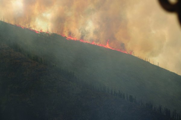 ДӨРВӨН АЙМАГТ ТҮЙМЭРТЭЙ БАЙНА