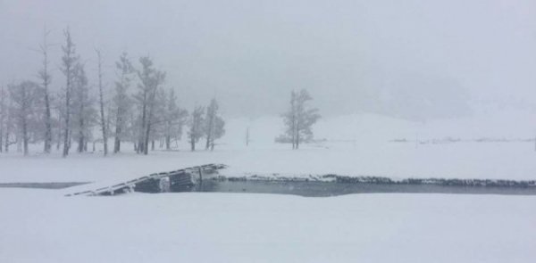 ҮҮЛЭНД ЗОРИУДААР НӨЛӨӨЛЖ, ТҮЙМРИЙГ БҮРЭН УНТРААЛАА