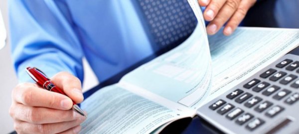 Татвар төлөгч та тайлангаа хэзээ, хэрхэн ирүүлэх вэ