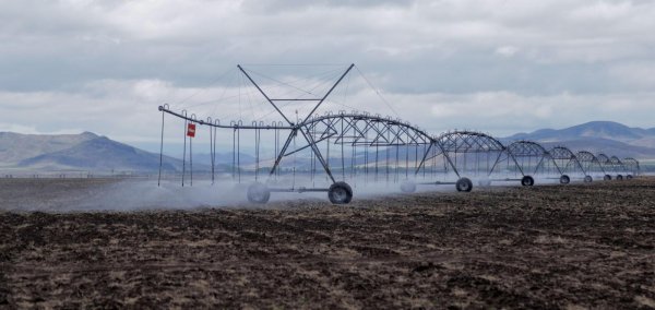 Хаврын тариалалтын явц 30 хувьтай байна