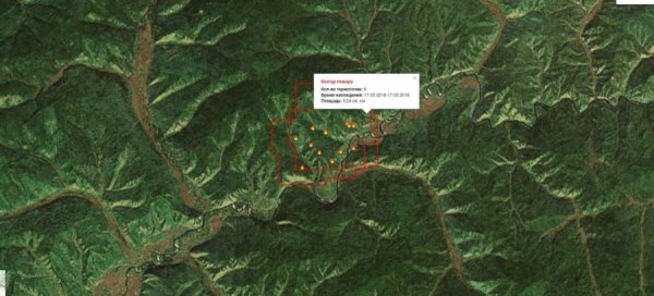 ТҮЙМРИЙН ГОЛОМТОД НЭМЭЛТ БҮЛЭГ ХҮРГЭЛЭЭ