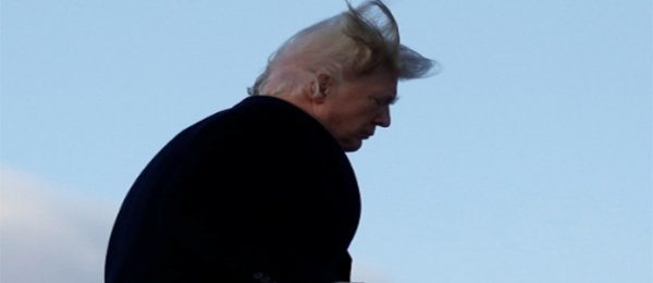 ШИРҮҮН САЛХИ ТРАМПЫН ҮС ЗАСАЛТЫН НУУЦЫГ ДЭЛГЭВ